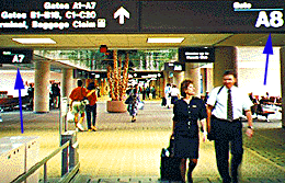 (picture of Phoenix concourse)